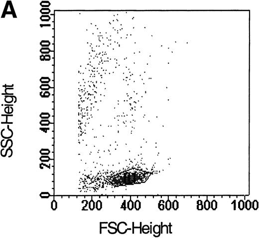 Fig. 1. Flow cytometric analysis of isolated LP CD34+ cells from a representative experiment; two-color immunofluorescence staining with FITC-avidin-biotin-MIP-1 complex and PE-conjugated anti-CD34 monoclonal antibody. Control cells were stained with a nonspecific biotinylated protein (soybean trypsin inhibitor) and irrelevant mouse monoclonal conjugated to PE as described in Materials and Methods. Gates for the analysis of MIP-1 receptor expression on CD34+ are defined as shown: R1, lymphocyte gate (A); R2, CD34+ lymphocytes (B). MIP-1 receptor expression was assessed as mean fluorescence intensity (C) in R2 and percentage of positive cells (D). A negative control using a irrelevant biotinylated protein (shaded histogram) was used to set the quadrant such that at least 99% of the analyzed cells were negative for MIP-1 receptor. Sorting gates are indicated in (D): R3, CD34+MIP R−; R4, CD34+MIP R+, and were set to include a strongly negative and positive fraction, respectively.