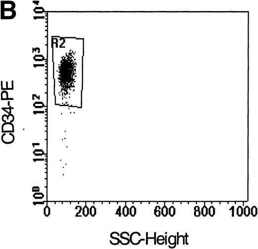 Fig. 1. Flow cytometric analysis of isolated LP CD34+ cells from a representative experiment; two-color immunofluorescence staining with FITC-avidin-biotin-MIP-1 complex and PE-conjugated anti-CD34 monoclonal antibody. Control cells were stained with a nonspecific biotinylated protein (soybean trypsin inhibitor) and irrelevant mouse monoclonal conjugated to PE as described in Materials and Methods. Gates for the analysis of MIP-1 receptor expression on CD34+ are defined as shown: R1, lymphocyte gate (A); R2, CD34+ lymphocytes (B). MIP-1 receptor expression was assessed as mean fluorescence intensity (C) in R2 and percentage of positive cells (D). A negative control using a irrelevant biotinylated protein (shaded histogram) was used to set the quadrant such that at least 99% of the analyzed cells were negative for MIP-1 receptor. Sorting gates are indicated in (D): R3, CD34+MIP R−; R4, CD34+MIP R+, and were set to include a strongly negative and positive fraction, respectively.