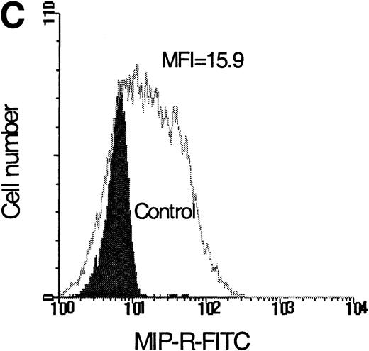 Fig. 1. Flow cytometric analysis of isolated LP CD34+ cells from a representative experiment; two-color immunofluorescence staining with FITC-avidin-biotin-MIP-1 complex and PE-conjugated anti-CD34 monoclonal antibody. Control cells were stained with a nonspecific biotinylated protein (soybean trypsin inhibitor) and irrelevant mouse monoclonal conjugated to PE as described in Materials and Methods. Gates for the analysis of MIP-1 receptor expression on CD34+ are defined as shown: R1, lymphocyte gate (A); R2, CD34+ lymphocytes (B). MIP-1 receptor expression was assessed as mean fluorescence intensity (C) in R2 and percentage of positive cells (D). A negative control using a irrelevant biotinylated protein (shaded histogram) was used to set the quadrant such that at least 99% of the analyzed cells were negative for MIP-1 receptor. Sorting gates are indicated in (D): R3, CD34+MIP R−; R4, CD34+MIP R+, and were set to include a strongly negative and positive fraction, respectively.