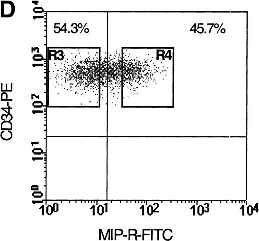 Fig. 1. Flow cytometric analysis of isolated LP CD34+ cells from a representative experiment; two-color immunofluorescence staining with FITC-avidin-biotin-MIP-1 complex and PE-conjugated anti-CD34 monoclonal antibody. Control cells were stained with a nonspecific biotinylated protein (soybean trypsin inhibitor) and irrelevant mouse monoclonal conjugated to PE as described in Materials and Methods. Gates for the analysis of MIP-1 receptor expression on CD34+ are defined as shown: R1, lymphocyte gate (A); R2, CD34+ lymphocytes (B). MIP-1 receptor expression was assessed as mean fluorescence intensity (C) in R2 and percentage of positive cells (D). A negative control using a irrelevant biotinylated protein (shaded histogram) was used to set the quadrant such that at least 99% of the analyzed cells were negative for MIP-1 receptor. Sorting gates are indicated in (D): R3, CD34+MIP R−; R4, CD34+MIP R+, and were set to include a strongly negative and positive fraction, respectively.