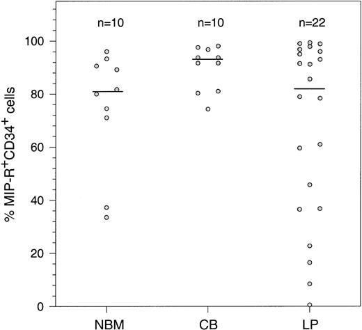 Fig. 2. Constitutive expression of MIP-1 receptors on human CD34+ cells isolated from NBM, CB, and LP. Purified CD34+ cells were double-stained with biotinylated MIP-1 and antibodies specific for the CD34 antigen. Results are expressed as the percentage of CD34+ cells coexpressing MIP-1 receptors. Horizontal bars denote the median of n individual determinations.