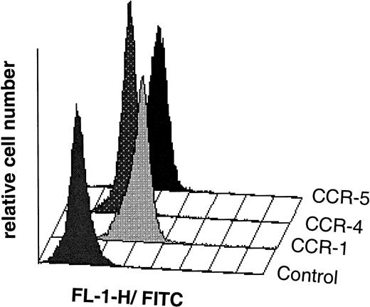 Fig. 3. Flow cytometric analysis of isolated LP CD34+ cells (purity 98%) from a representative experiment; indirect single-color immunofluorescence staining was performed with specific antibodies raised against the human chemokine receptor subtypes CCR-1, CCR-4, and CCR-5 as described in Materials and Methods. Control cells were stained with secondary FITC-linked antibody only. Chemokine receptor expression was analyzed in a uniformly set lymphocyte gate comprising 20,375, 21,503, and 21,659 cells in the CCR-1, CCR-4, and CCR-5 experiments, respectively. Overlay plots of the histograms (cell number against MFI) for the different chemokine receptors and the control are shown.