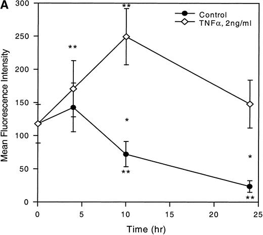 Fig. 4. Time-dependent expression of MIP-1 receptors on LP CD34+ in short-term suspension culture. Cells were cultured at a concentration of 1 to 2 × 105 cells in 1 mL of IMDM supplemented with 15% (vol/vol) FCS and incubated in 5% CO2 and 5%O2 in nitrogen for various time periods (4, 10, and 24 hours) in the absence or presence of TNF- (2 ng/mL). MIP-1 receptor expression was assessed by determining the mean fluorescence (A) and the percentage of CD34+ cells expressing MIP-1 receptors (B). (C) Shows a representative experiment. Overlay plots of the histograms (cell number against MFI) for the different cell populations at successive time-points are shown. T = 0 hours, empty area represents the untreated cell population stained for MIP-1 receptors (FITC). T = 10 hours and T = 24 hours, shaded and empty areas represent MIP-1 receptor expression in TNF-–treated and untreated cells, respectively. Data points in (A) and (B) are the mean ± SEM of four independent experiments. Nonspecific binding of avidin-FITC in TNF-–treated cultures was not increased over untreated cells at T = 0 hours. (*) Denotes significant differences between the TNF-–treated and untreated cells (P < .05). (**) Indicates significant differences in comparison to control values at 0 hours incubation (P < .05).