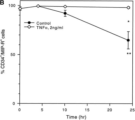 Fig. 4. Time-dependent expression of MIP-1 receptors on LP CD34+ in short-term suspension culture. Cells were cultured at a concentration of 1 to 2 × 105 cells in 1 mL of IMDM supplemented with 15% (vol/vol) FCS and incubated in 5% CO2 and 5%O2 in nitrogen for various time periods (4, 10, and 24 hours) in the absence or presence of TNF- (2 ng/mL). MIP-1 receptor expression was assessed by determining the mean fluorescence (A) and the percentage of CD34+ cells expressing MIP-1 receptors (B). (C) Shows a representative experiment. Overlay plots of the histograms (cell number against MFI) for the different cell populations at successive time-points are shown. T = 0 hours, empty area represents the untreated cell population stained for MIP-1 receptors (FITC). T = 10 hours and T = 24 hours, shaded and empty areas represent MIP-1 receptor expression in TNF-–treated and untreated cells, respectively. Data points in (A) and (B) are the mean ± SEM of four independent experiments. Nonspecific binding of avidin-FITC in TNF-–treated cultures was not increased over untreated cells at T = 0 hours. (*) Denotes significant differences between the TNF-–treated and untreated cells (P < .05). (**) Indicates significant differences in comparison to control values at 0 hours incubation (P < .05).