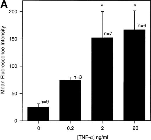Fig. 5. (A) Concentration-dependent increase of MIP-1 receptors on LP CD34+ in response to TNF-. Purified CD34+ cells were cultured for 24 hours in the absence or presence of varying concentrations of TNF-, as detailed in the legend of Fig 3. Thereafter, the expression of MIP-1 receptors on CD34+ cells was analyzed by flow cytometry. Bars represent the mean ± SEM of n independent experiments. (*) Denotes significant differences between the TNF-–treated cells and controls (P < .05). (B) IFN-γ–induced upregulation of MIP-1 receptors on LP CD34+ cells. Purified LP CD34+ cells were cultured for 24 hours in the absence or presence of IFN-γ (1,000 U/mL) as detailed in the legend of Fig 3. Thereafter the expression of MIP-1 receptors on CD34+cells was analyzed by flow cytometry. Bars represent the mean ± SEM of four independent experiments. (*) Denotes significant difference between the IFN-γ–treated cells and the control (P < .05).