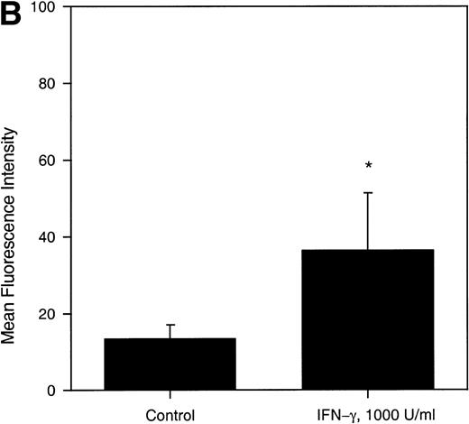 Fig. 5. (A) Concentration-dependent increase of MIP-1 receptors on LP CD34+ in response to TNF-. Purified CD34+ cells were cultured for 24 hours in the absence or presence of varying concentrations of TNF-, as detailed in the legend of Fig 3. Thereafter, the expression of MIP-1 receptors on CD34+ cells was analyzed by flow cytometry. Bars represent the mean ± SEM of n independent experiments. (*) Denotes significant differences between the TNF-–treated cells and controls (P < .05). (B) IFN-γ–induced upregulation of MIP-1 receptors on LP CD34+ cells. Purified LP CD34+ cells were cultured for 24 hours in the absence or presence of IFN-γ (1,000 U/mL) as detailed in the legend of Fig 3. Thereafter the expression of MIP-1 receptors on CD34+cells was analyzed by flow cytometry. Bars represent the mean ± SEM of four independent experiments. (*) Denotes significant difference between the IFN-γ–treated cells and the control (P < .05).