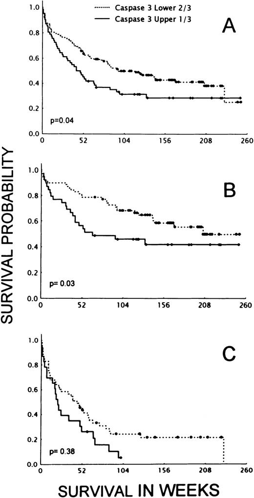 Fig. 4. Effect of uncleaved caspase 3 level on AML patient survival. The plots show Kaplan-Meier survival curves for AML patients with the lowest, middle, and highest thirds of normalized caspase 3 levels. Data shown are for all patients (lower two thirds, 123 patients; upper one third, 62 patients) (A), for patients with favorable and intermediate cytogenetic abnormalities (lower two thirds, 67 patients; upper one third, 36 patients) (B), and for patients with poor cytogenetic markers (lower two thirds, 56 patients; upper one third, 26 patients) (C).