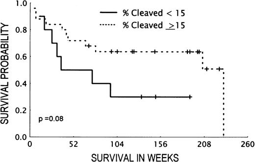 Fig. 5. Effect of cleaved caspase 3 levels on AML patient survival. The plot shows the Kaplan-Meier survival curve for patients with high (≥15) and low (<15) normalized protein levels of cleaved (17 kD) caspase 3. Data of 27 patients with high and 11 patients with low normalized levels of cleaved caspase 3 are depicted.
