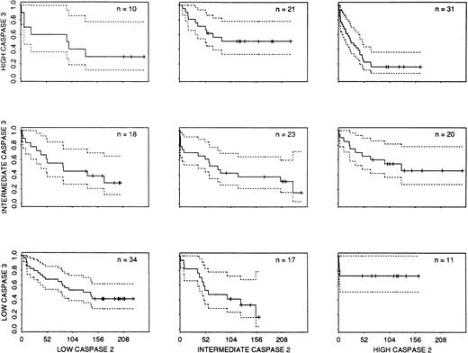 Fig. 7. Interactive effects of caspase 2 and 3 levels on AML patient survival. The figure shows a matrix of Kaplan-Meier survival plots for the 3 × 3 = 9 patient subgroups, determined by caspase 2 level (low, intermediate, or high) and caspase 3 level (low, intermediate, or high). In each plot the abscissa depicts survival in weeks, and the ordinate depicts survival probability. The dotted lines in each plot represent 95% confidence bands.