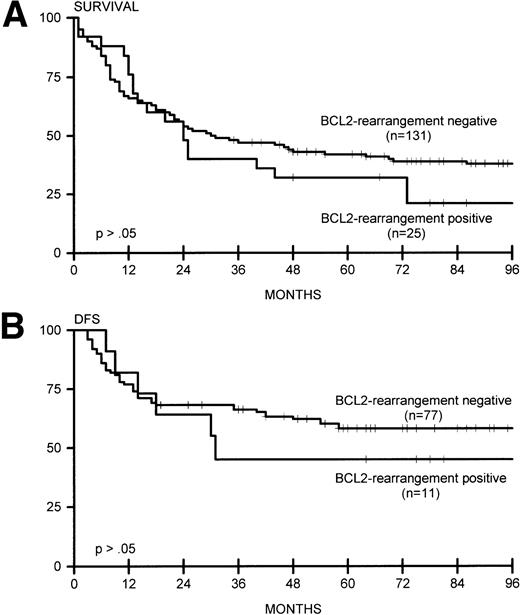 Fig. 2. (A) Overall survival for BCL2-rearrangement positive (n = 25) and BCL2-rearrangement negative (n = 131) lymphomas. (B) DFS for BCL2-rearrangement positive (n = 11) and BCL2-rearrangement negative (n = 77) lymphomas.