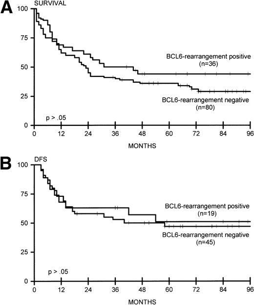 Fig. 3. (A) Overall survival for BCL6-rearrangement positive (n = 36) and BCL6-rearrangement negative (n = 80) lymphomas. (B) DFS for BCL6-rearrangement positive (n = 19) and BCL6-rearrangement negative (n = 45) lymphomas.