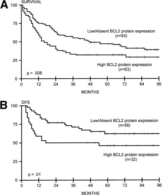 Fig. 5. (A) Overall survival for lymphomas with high BCL2 protein expression (n = 63) and low/absent BCL2 protein expression (n = 93). (B) DFS for lymphomas with high BCL2 protein expression (n = 32) and low/absent BCL2 protein expression (n = 56).