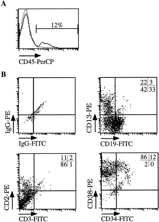 Fig. 3. Multilineage engraftment of human hematopoietic cells into NOD/SCID mice. Sublethally irradiated NOD/SCID mice were injected with CB-derived CD34+ cells transduced for 3 days under serum-free conditions (CB#1 in Fig 2). (A) FACS analysis of hematopoietic cells obtained from the femur of animals injected with human CB-derived CD34+ cells (solid line) or control animals (dotted line). The percentage of human cells was calculated from the number of CD45+ cells found in the femur of the animals after 6 weeks. (B) Multilineage engraftment of human cells. The CD45+ cells shown in (A) were further analyzed for the presence of myeloid cells (CD13), lymphoid cells (CD19, CD2), and immature progenitor cells (CD34, CD38). The percentage of each cell population is shown in the upper right corner of each quadrant.