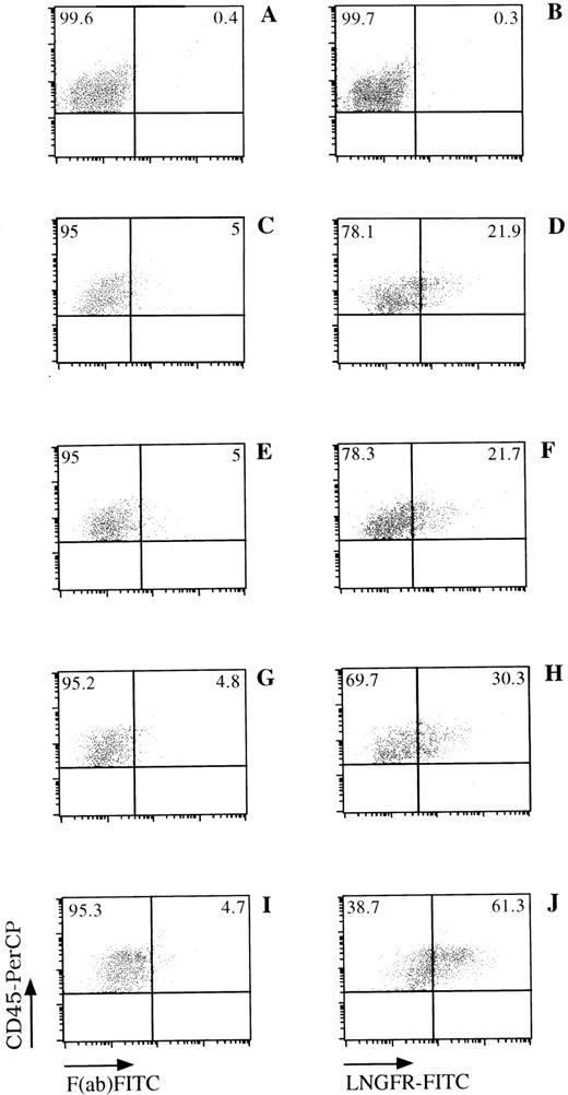 Fig. 4. LNGFR expression on human CD45+ cells obtained from the BM of NOD/SCID mice. NOD/SCID were sublethally irradiated and injected with LNSN-transduced CB-derived CD34+ cells (panels C through J) or mock-transduced cells (panels A and B). Six weeks later, BM cells were obtained from the femur of these animals and analyzed for the presence of human cells (CD45+) and LNGFR expression by FACS. FACS data from mice engrafted with cells derived from CB#1 (panels C through H) or CB#5 (panels I and J) is shown. The left panels show the CD45+expression versus the F(ab)-FITC isotype control. The right panels show the CD45 and LNGFR expression on LNSN-transduced (D through J) or mock-transduced (B) cells. Fluorescence intensities are displayed in logarithmic scale.