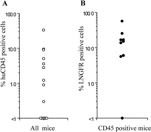 Fig. 5. Frequency of human cell engraftment and LNGFR expression in NOD/SCID mice injected with transduced BM- or CB-derived CD34+ cells. BM- or CB-derived CD34+ cells were transduced with a GALV-pseudotyped LNSN retroviral vector and injected into sublethally irradiated NOD/SCID mice. The left panel shows the percentage of human cell engraftment (CD45+cells) 6 weeks after injection. The right panel shows the LNGFR expression in CD45+ cells obtained from the BM of engrafted animals. Each symbol represents one mouse.