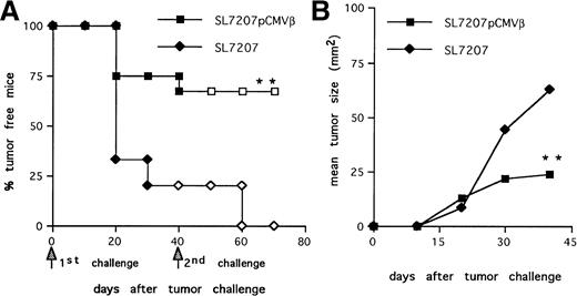 Fig. 3. Protective memory response against tumor challenge in mice receiving S typhimurium-mediated DNA oral immunization. (A) Tumor-take curves. After immunization with SL7207 (pCMVβ; squares) or SL7207 (triangles), mice received a first subcutaneous challenge with F1A11 tumor cells (solid symbols); after 40 days, tumor-free mice received a second contralateral challenge (open symbols). Tumor growth was inspected every other day by palpation. Each group included 15 mice. (B) Tumor size (in square millimeters) progression in immunized mice. Statistically significant differences are indicated: P < .01 (**).