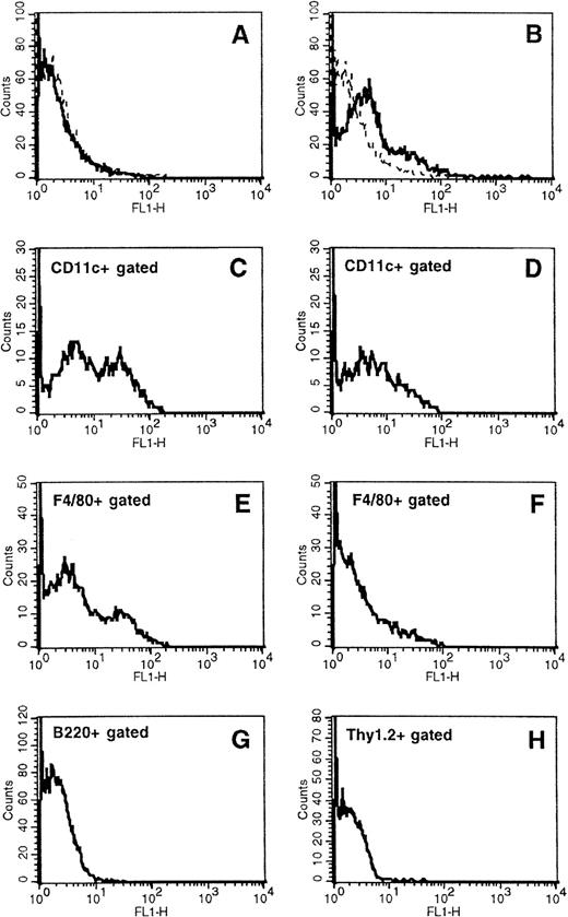 Fig. 5. Characterization of in vivo S typhimurium-mediated DNA gene transfer to APCs in orally vaccinated mice. Expression of GFP, naturally emitting green fluorescence, was determined by flow cytometry in total spleen cells from mice receiving the S typhimurium SL7207 strain carrying either the expression vector pASV2 (A, D, and F) or pEGFP-C2 (B, C, E, G, and H), which contain the GFP coding gene under the control of either a constitutive prokaryotic or eukaryotic promoter, respectively. Spleen cell subsets expressing GFP were identified by two-color fluorocytometric analysis after staining with biotinylated anti-CD11c, anti-F4/80, anti-B220, and anti-Thy1.2 followed by PE-Streptavidin. (C) and (D) display GFP expression by cells gated as positive for CD11c marker; (E) and (F) display GFP expression by cells gated as positive for F4/80 marker; (G) and (H) display GFP expression by cells gated as positive for B220 and Thy1.2, respectively. Control samples stained with appropriated biotin-conjugated isotype-matched negative control MoAbs followed by PE-Streptavidin were included for gate setting.