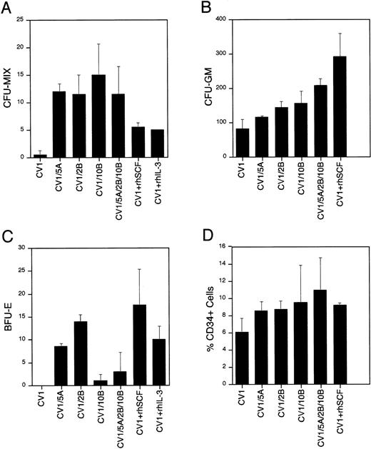 Fig. 6. Biological activity of Wnt genes on hematopoietic stem/progenitor cells. Results of methylcellulose colony formation (A through C) and CD34 phenotypic analysis (D) are shown. Colony numbers (A through C) are mean values with standard deviation bars from duplicate plates. A total of three tissues were examined. Percentage CD34+ cells is the mean of two experiments with standard deviation bars. The cocultures represented are CV-1 cells transduced with the MSCVneoEB vector (CV1), CV-1 cells transduced with each of theWnt genes (CV1/5A, CV1/2B, and CV1/10B), an equal mixture of CV-1 cells transduced with each of the Wnt genes (CV1/5A/2B/10B), CV-1 cells transduced with the MSCVneoEB vector and 100 ng/mL of recombinant human SCF added to the culture medium (CV1 + rhSCF), and CV-1 cells transduced with the MSCVneoEB vector and 100 ng/mL of recombinant human IL-3 added to the culture medium (CV1 + rhIL-3).