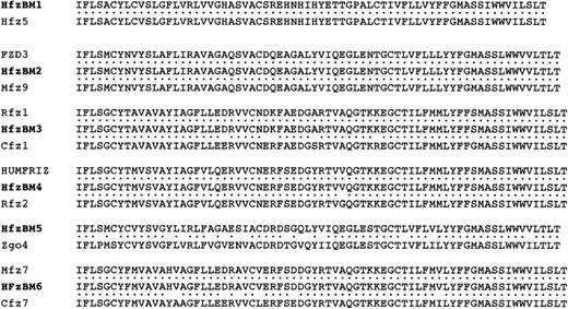 Fig. 9. Alignment of hematopoietic fz genes. Amino acid sequences of the isolated fz gene fragments (HfzBM1-6) were aligned to homologous sequences identified in Genbank. The identified homologs are human frizzled-5 (Hfz5; Genbank accession no. U43318 ), human frizzled homolog (FZD3; Genbank accession no. U82169), mouse frizzled-9 (Mfz9; Genbank accession no. AF033585), rat frizzled-1 (Rfz1; Genbank accession no. L02529), chicken frizzled-1 (Cfz1; Genbank accession no. AF031830), human frizzled-related gene (HUMFRIZ; Genbank accession no. L37882), rat frizzled-2 (Rfz2; Genbank accession no.L02530), Zebrafish frizzled gene (Zgo4; Genbank accession no. U49408), mouse frizzled-7 (Mfz7; Genbank accession no. U43320), and chicken frizzled-7 (Cfz7; Genbank accession no. AF031831). Identities are indicated by dots (•).