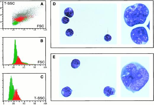 Fig. 2. Light scattering properties and morphologic appearence of CD79+TdT+ precursors that express or lack CD19. A correlation of the FSC and T-SSC properties of a BM sample stained with CD19, CD79a, and TdT is shown in dot plot A. TdT+ precursor cells that express CD79a are depicted in colors: the CD19+ subpopulation of these cells is painted green, whereas CD19−CD79a+TdT+ cells appear red. Histograms of the same material, correlating the FSC (B) or the T-SSC (C) in the x-axis with a relative measure of the cell number (y-axis) show only gated TdT+CD79a+ cells. Note that CD19−CD79a+TdT+cells (red) exhibit comparatively higher FSC and SSC properties than the majority of CD19+ precursors (green). To study the morphology of these subsets, the same sample was stained with CD10, CD19, and CD34, and the CD10+CD34+ cells were sorted into a CD19+ and a CD19−fraction. CD10 and CD34 were used as surrogate antigens substituting for CD79a and TdT to avoid cellular alterations by the fixation/permeabilization reagents (the correspondance of these markers was proven in parallel experiments). Pappenheim-stained cytospin preparations of sorted cells are shown in (D; CD19+subset) and (E; CD19− subset). Note that the majority of CD19+ precursors are small lymphoid cells, whereas CD19− precursors are intermediately sized blasts with large nuclei and prominent nucleoli and display a wider and basophilic cytoplasm with focal juxtanuclear areas of clearing.