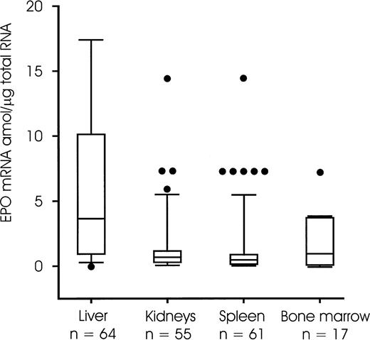 Fig. 4. EPO mRNA (amol per microgram of total RN) in the liver, kidney, spleen, and bone marrow tissue samples. Data are presented as boxplots with the median and the 25th and 75th percentile defining the box. The error bars indicate the 10th and 90th percentile, respectively. Single data points (•) with their respective values that lie outside the 10th and 90th percentile are also shown. Additional values (not shown) were for the liver 218, 45, and 19 amol/μg total RNA and for the kidneys 731 and 290 amol/μg total RNA.
