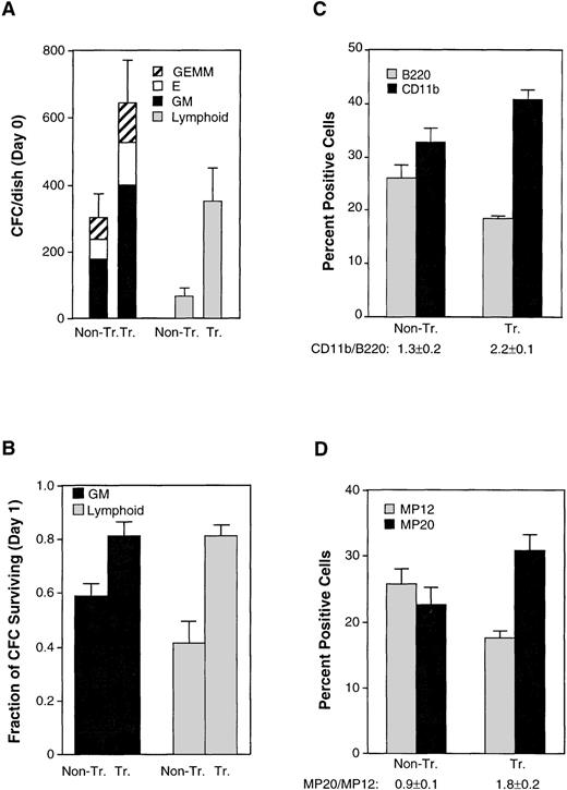 Fig. 4. The Mcl-1 transgene enhances hematopoietic capacity in the bone marrow although peripheral blood pools remain unaltered. (A) Bone marrow cells from nontransgenic (Non-Tr.) and transgenic (Tr.) mice were plated into methylcellulose medium containing factors supporting the growth of either myeloid and erythroid precursors (left set of bars) or B lymphoid precursors (right set of bars). The plating density was 1.5 × 104 cells/35-mm dish for assay of myeloid/erythroid colonies and 4 × 104 cells/35-mm dish for assay of B lymphoid colonies. Colonies were counted after 7 days. The values shown represent the mean ± SD of three independent experiments using four transgenic and three control mice (P < .05 by Student’s t-test). GM, colonies containing myeloid (granulocyte-macrophage) cells; E, colonies containing erythroid cells; GEMM, colonies containing both myeloid and erythroid cells. (B) The bone marrow cells assayed in (A) were cultured in standard medium (containing 10% FBS only) for 24 hours before plating into growth factor–containing methylcellulose medium. The fraction of colony-forming cells remaining on day 1 was calculated by comparison with the number of present on day 0. The significance between nontransgenic and transgenic animals, as determined by Student’st-test, was P < .05 for both GM and lymphoid colonies. (C) Bone marrow from transgenic and nontransgenic mice (10- to 12-weeks-old) was assayed by flow cytometry for the B220 and CD11b cell-surface markers. The total number of cells recovered from the bone marrow averaged 1.5 ± 0.3 (SD) × 107 cells for nontransgenic mice and 1.3 ± 0.1 × 107 cells for the transgenic mice. Bars represent the SE of three animals. The CD11b+/B220+ ratio is listed on the figure. The significance of the difference in this ratio in nontransgenic as compared with transgenic animals, as assessed by analysis of variance with the Scheffé test, which indicated a P value of <.01. (D) The bone marrow cells assayed in (C) were also assayed for the MP20 and MP12 markers. The percentage of MP20+MP12+ double-positive cells averaged 11% ± 0.5% (SD) in nontransgenic and 14% ± 2% in transgenic mice. The MP20+/MP12+ ratio is listed on the figure. The significance of the difference in this ratio in nontransgenic as compared with transgenic animals, as assessed by analysis of variance with the Scheffé test, which indicated aP value of <.05.