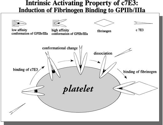 Fig. 10. Schematic drawing of the proposed intrinsic activating property of c7E3: Induction of fibrinogen binding to GPIIb/IIIa.