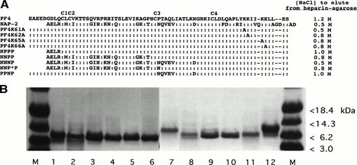 Fig. 2. Recombinant WT and mutant PF4 and NAP-2 proteins studied. (A) Schematic presentation of the proteins tested and the concentration (molarity) of NaCl required to elute each protein from a heparin agarose bead column. (B) Coomassie blue staining of 10 μg of various recombinant proteins separated on an SDS-PAGE gel. M, protein markers. Lane 1, WT PF4; lane 2, PF4K61A; lane 3, PF4K62A; lane 4, PF4K65A; lane 5, PF4K66A; lane 6, PPNP; lane 7, WT NAP-2; lane 8, NPPP; lane 9, NNPP; lane 10, NNNP; lane 11, NNP*P; and lane 12, WT PF4.