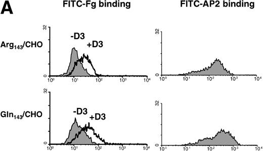 Fig. 3. Binding of transfected CHO cells to soluble and immobilized Fg. (A) Binding of transfected CHO cells to FITC-labeled Fg. Soluble Fg was labeled with FITC. Transfected CHO cells were incubated for 45 minutes at room temperature with FITC-labeled Fg at a concentration of 100 μg/mL in the presence or absence of D3 (200 μg/mL) followed by flow cytometry. The left panel shows the binding of FITC-Fg in the presence or absence of antibody D3. The right panel shows the surface expression of GPIIb-IIIa complexes as detected by AP2. (B) Cell adhesion to immobilized Fg ligand. Transfected CHO cells expressing different allelic forms of GPIIb-IIIa complex were labeled with calcein-AM at 37°C for 30 minutes. After washing, the cells were allowed to attach for 60 minutes to wells coated with various concentrations of Fg, BSA, or anti-GPIIb-IIIa complex antibody at 37°C. After adhesion, nonadherent cells were removed by washing, and adherent cells were measured in a fluorescence plate reader. Nonspecific cell adhesion on BSA-coated wells was subtracted. Cell adhesion was normalized to cell adhesion on AP2 (Fg/AP2 ratio). CHO cells expressing both allelic forms of GPIIb-IIIa bound to immobilized Fg in a dose-dependent manner. (C) Adhesion of transfected CHO cells to immobilized Fg is mediated by GPIIb-IIIa. Cells were pretreated with AP2 or anti-PECAM-1 antibodies (20 μg/mL) for 30 minutes at room temperature. After washing, cell adhesion to 2 μg/mL Fg was measured and plotted by fluorescence intensity. AP2 but not anti-PECAM-1 antibody blocked cell adhesion mediated by both allelic forms of GPIIb-IIIa to immobilized Fg.