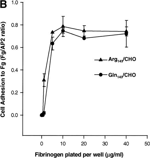 Fig. 3. Binding of transfected CHO cells to soluble and immobilized Fg. (A) Binding of transfected CHO cells to FITC-labeled Fg. Soluble Fg was labeled with FITC. Transfected CHO cells were incubated for 45 minutes at room temperature with FITC-labeled Fg at a concentration of 100 μg/mL in the presence or absence of D3 (200 μg/mL) followed by flow cytometry. The left panel shows the binding of FITC-Fg in the presence or absence of antibody D3. The right panel shows the surface expression of GPIIb-IIIa complexes as detected by AP2. (B) Cell adhesion to immobilized Fg ligand. Transfected CHO cells expressing different allelic forms of GPIIb-IIIa complex were labeled with calcein-AM at 37°C for 30 minutes. After washing, the cells were allowed to attach for 60 minutes to wells coated with various concentrations of Fg, BSA, or anti-GPIIb-IIIa complex antibody at 37°C. After adhesion, nonadherent cells were removed by washing, and adherent cells were measured in a fluorescence plate reader. Nonspecific cell adhesion on BSA-coated wells was subtracted. Cell adhesion was normalized to cell adhesion on AP2 (Fg/AP2 ratio). CHO cells expressing both allelic forms of GPIIb-IIIa bound to immobilized Fg in a dose-dependent manner. (C) Adhesion of transfected CHO cells to immobilized Fg is mediated by GPIIb-IIIa. Cells were pretreated with AP2 or anti-PECAM-1 antibodies (20 μg/mL) for 30 minutes at room temperature. After washing, cell adhesion to 2 μg/mL Fg was measured and plotted by fluorescence intensity. AP2 but not anti-PECAM-1 antibody blocked cell adhesion mediated by both allelic forms of GPIIb-IIIa to immobilized Fg.