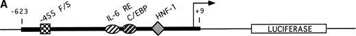 Fig. 1. The A allele shows greater promoter functionality in response to IL-6. (A) The sequence of the Bβ chain gene from −623 to +9 was subcloned into the pGL2 basic luciferase vector, upstream from the luciferase gene. This portion of the Bβ chain gene contains all of the known proximal promoter elements required for induction of Bβ chain gene transcription: HNF-1 (hepatocyte nuclear factor-1), −79 to −91; C/EBP site (CAAT-enhancer binding protein site), −124 to −132; IL-6 RE (IL-6 response element), −137 to −142,16 and, in addition, the −455 F/S (−455 nucleotide and its proximal 5′ and 3′ flanking sites). (B) After stimulation of HepG2 cells transfected with either pGL2 vector only (control), pGL2/G-455 (guanine at −455 of the Bβ construct), and pGL2/A-455 (adenine at −455 of the Bβ construct) with IL-6 for 16 hours, the luciferase activity was quantitated and the fold increase in luciferase activity over basal level was statistically averaged for 10 independent experiments. The activity for the pGL2 vector only was 1.1- ± 0.2-fold, for pGL2/G-455 was 3.5- ± 1.2-fold, and for pGL2/A-455 was 4.8- ± 1.4-fold increase over basal level activity. Statistical analyses using a two-sample t-test for independent samples showed that luciferase activity under the control of the pGL2/A-455 construct was significantly different from pGL2/G-455 activity (P = .048).