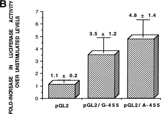 Fig. 1. The A allele shows greater promoter functionality in response to IL-6. (A) The sequence of the Bβ chain gene from −623 to +9 was subcloned into the pGL2 basic luciferase vector, upstream from the luciferase gene. This portion of the Bβ chain gene contains all of the known proximal promoter elements required for induction of Bβ chain gene transcription: HNF-1 (hepatocyte nuclear factor-1), −79 to −91; C/EBP site (CAAT-enhancer binding protein site), −124 to −132; IL-6 RE (IL-6 response element), −137 to −142,16 and, in addition, the −455 F/S (−455 nucleotide and its proximal 5′ and 3′ flanking sites). (B) After stimulation of HepG2 cells transfected with either pGL2 vector only (control), pGL2/G-455 (guanine at −455 of the Bβ construct), and pGL2/A-455 (adenine at −455 of the Bβ construct) with IL-6 for 16 hours, the luciferase activity was quantitated and the fold increase in luciferase activity over basal level was statistically averaged for 10 independent experiments. The activity for the pGL2 vector only was 1.1- ± 0.2-fold, for pGL2/G-455 was 3.5- ± 1.2-fold, and for pGL2/A-455 was 4.8- ± 1.4-fold increase over basal level activity. Statistical analyses using a two-sample t-test for independent samples showed that luciferase activity under the control of the pGL2/A-455 construct was significantly different from pGL2/G-455 activity (P = .048).