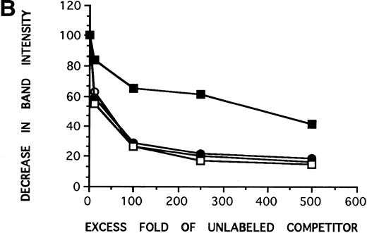 Fig. 3. Complex III preferentially binds to the G allele. (A) In the cross-competition assays, performed to detect preferential allelic binding of the complexes, when radiolabeled A-455 probe is competed against increasing concentrations of unlabeled G-455 probe (lanes 1 through 5), the three complexes are able to be competed away from the radiolabeled A-455 probe, with competition patterns similar to the results in Fig 2. Complex III is not competed away from radiolabed G-455 by increasing concentrations of A-455 unlabeled competitor (lanes 6 through 10), even at 1,000-fold cold competitor (data not shown), as seen in the three previous competition assays, implying that complex III preferentially binds to the G allele or a guanine in the −455 position. (B) Decrease in band intensity of complex III at increasing concentrations of cold competitor was analyzed by scanning densitometer analysis to observe the strength with which the unlabeled competitiors competed against the radiolabeled probes. Results for all of the competition assays were comparable with the exception of the labeled G-455 probe versus unlabled A-455 probe competition assay. The unlabeled A-455 competitor was unable to competitively bind with complex III in the presence of labeled G-455 at the same rate as the other competition assays, also showing that complex III preferentally binds to the G allele, rather than to the A allele. The assays were resolved on 7% nondenaturing gels. (○), Labeled A-455 probe versus unlabeled A-455 probe; (•), labeled A-455 probe versus unlabeled G-455 probe; (□), labeled G-455 probe versus unlabeled G-455 probe; (▪), labeled G-455 probe versus unlabeled A-455 probe.