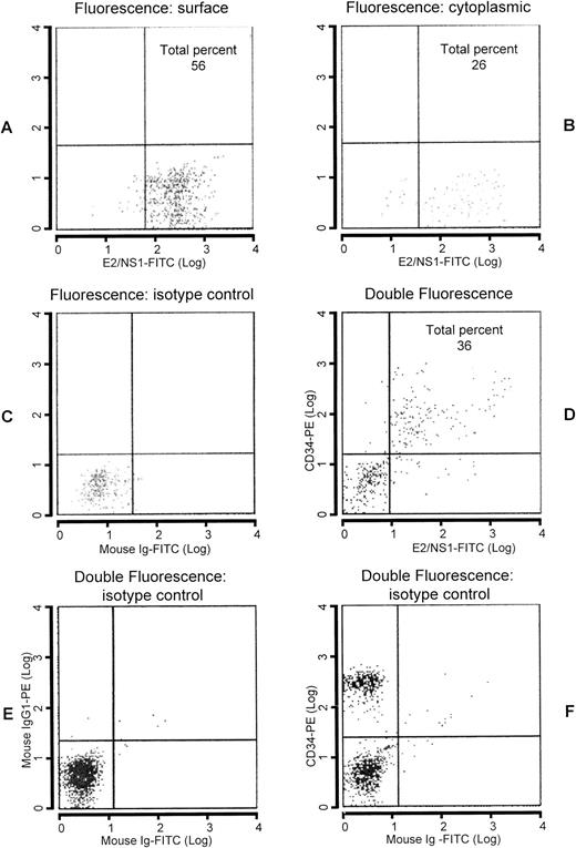 Fig. 4. Analysis by flow cytometry of Ficoll-Hypaque–purified leukapheresis products. Enumeration of CD34+ cells in light density cell suspension of peripheral blood labeled with anti-E2/NS1 whose labeling to the cells was defined by goat antimouse Ig conjugated with FITC. Surface (A) and cytoplasmic (B) stainings were performed. In (C), FITC-labeled isotypic control is shown. Double-staining analysis with PE-conjugated anti-CD34 antibody followed by FITC-labeled anti-E2/NS1 antibody is reported in (D). Isotypic controls are indicated in (E and F).