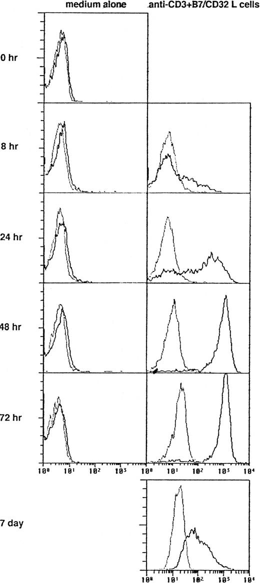 Fig. 1. Expression of OX40 Ag on naive T cells. Neonatal CD4+ T cells were stimulated with anti-CD3 MoAb and CD32/B7.1 L cells and stained after the indicated intervals with FITC-conjugated Act35 (dark lines) or control mouse IgG1 (faint lines).