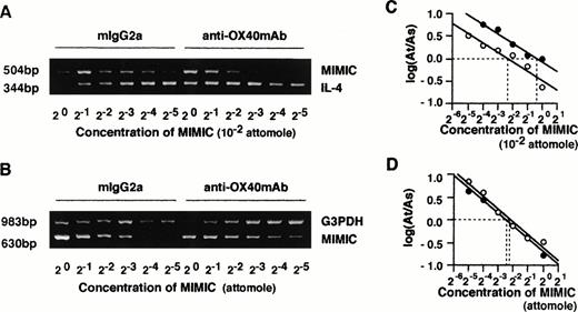Fig. 4. Quantitative analysis of IL-4 and G3PDH mRNA by competitive PCR. CD4+ T cells were stimulated with anti-CD3 MoAb and CD32/B7.1-transfected L cells in the presence of control mouse IgG2a or anti-OX40 MoAb (clone 315; 5 μg/mL) for 48 hours. Total RNAs of both groups of cells were prepared, and cDNA was synthesized. Quantitative PCR was performed in the presence of a twofold dilution of competitive internal standards (PCR MIMICs) of IL-4 (A) and G3PDH (B). The mean histogram of each band was analyzed by computer imaging. The ratio of target to competitors was plotted against the reciprocal of the concentrations of competitors added to the PCR reaction in log scale (C and D). Data were derived from RNA of (○) control IgG2a-treated cells and (•) anti-OX40 MoAb-treated cells.
