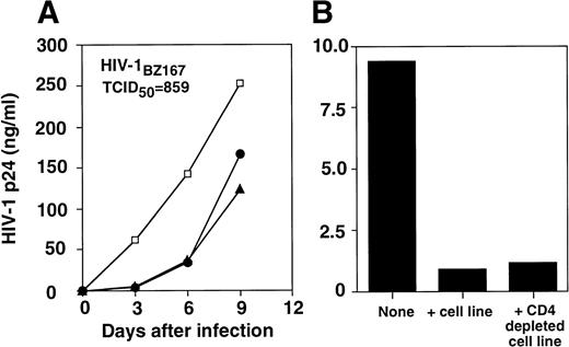 Fig. 1. Inhibition of HIV-1BZ167 replication by alloantigen-stimulated cell lines. (A) PHA blasts were infected with 859 TCID50/105 cells, as described in Materials and Methods section. Infected PHA blasts were cultured in the absence (□) or presence of an alloantigen-stimulated cell line derived from the same cells donor as the PHA blasts (autologous, •) or an alloantigen-stimulated cell line derived from an unrelated donor (heterologous, ▴). HIV-1 p24 core antigen was determined by ELISA. The results represent means of triplicate cultures. (B) HIV-1BZ167–infected PHA blasts (172 TCID50/105 cells) were incubated in the absence or presence of an alloantigen-stimulated cell line before and after depletion of CD4+ T cells, using anti-CD4–coated magnetic beads. Results are expressed as p24 antigen production from one experiment determined by ELISA.