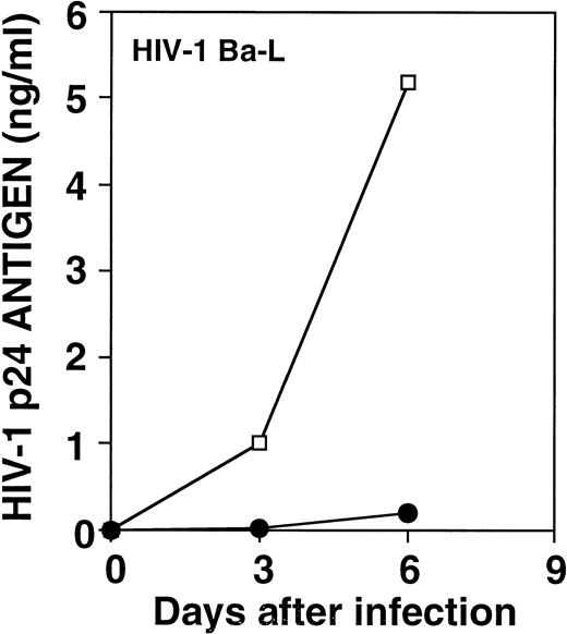 Fig. 5. Effect of an alloantigen-stimulated cell line on HIV-1Ba-L replication. PHA blasts were infected with HIV-1Ba-L (570 TCID50/105 cells) in the absence (□) or the presence (•) of an allostimulated cell line. Results represent means of triplicate cultures from one of four experiments with similar results.