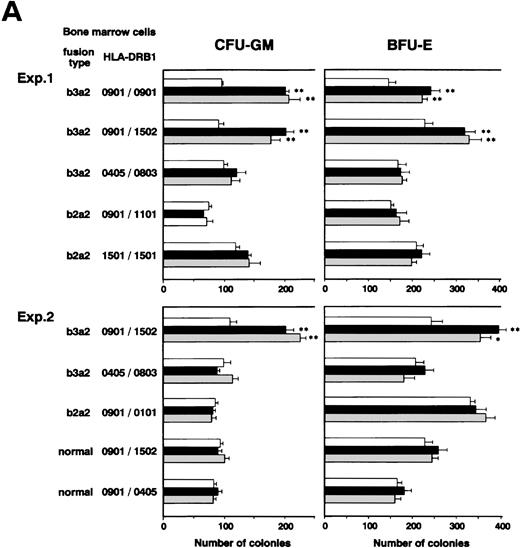 Fig. 2. Augmentation of CML cell colony formation by bcr-abl–specific CD4+ T-cell clones. (A) The numbers of CFU-GM and BFU-E generated from bone marrow cells of various patients in the absence (□) and presence of b3a2-specific CD4+T-cell clones, MY-1 (▪), and TO-1 (▧) are shown. (B) The numbers of CFU-GM and BFU-E generated from bone marrow cells of a patient with HLA-DRB1*0901-positive b3a2 CML which had been untreated or treated with anti–HLA-DR MoAb and cultured without (□) or with MY-1 (▪) and TO-1 (▧) are shown. (C) The numbers of CFU-GM and BFU-E generated from bone marrow cells of various patients with CML in the absence (□) and presence of MY-1 (▪) and TO-1 (▧) culture supernatant are shown. Cells in triplicate wells were cultured and the data are expressed as mean colony counts ± standard deviation. *, P< .05; **, P < .01.