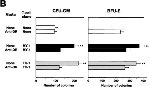 Fig. 2. Augmentation of CML cell colony formation by bcr-abl–specific CD4+ T-cell clones. (A) The numbers of CFU-GM and BFU-E generated from bone marrow cells of various patients in the absence (□) and presence of b3a2-specific CD4+T-cell clones, MY-1 (▪), and TO-1 (▧) are shown. (B) The numbers of CFU-GM and BFU-E generated from bone marrow cells of a patient with HLA-DRB1*0901-positive b3a2 CML which had been untreated or treated with anti–HLA-DR MoAb and cultured without (□) or with MY-1 (▪) and TO-1 (▧) are shown. (C) The numbers of CFU-GM and BFU-E generated from bone marrow cells of various patients with CML in the absence (□) and presence of MY-1 (▪) and TO-1 (▧) culture supernatant are shown. Cells in triplicate wells were cultured and the data are expressed as mean colony counts ± standard deviation. *, P< .05; **, P < .01.