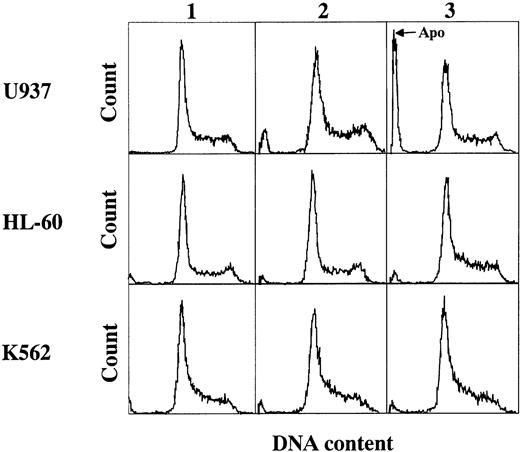 Fig. 6. DNA histogram of U937, HL-60, and K562 cells after treatment with dCF and dAd. Cells were cultured with 1 (2) and 10 (3) nmol/L dCF in the presence of 10 μmol/L dAd for 2 days. 1, Untreated control cells. Cells were fixed and stained with propidium iodide, and the DNA content was analyzed by flow cytometry. The apoptotic cell population is shown by the first peak (Apo).