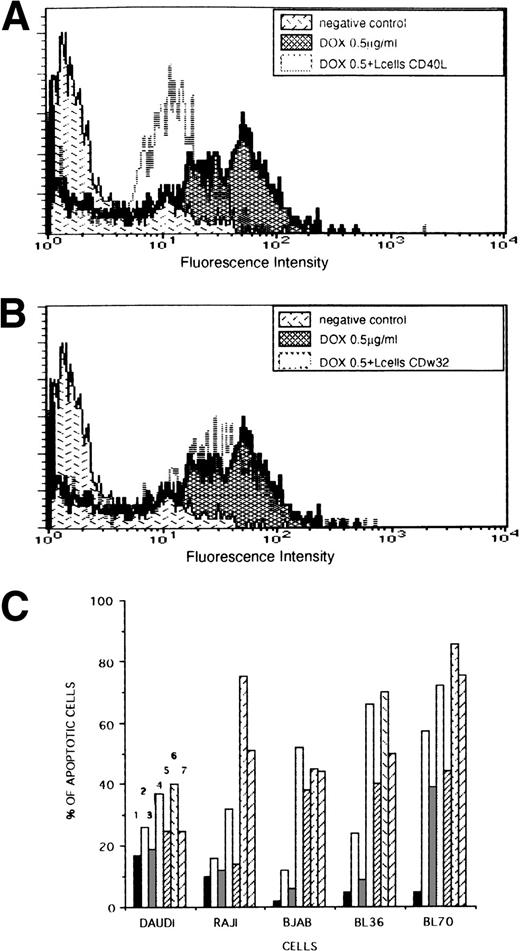 Fig. 2. Inhibition of DOX-induced apoptosis by CD40L L cells in lymphoma cell lines. Lymphoma cells were incubated with DOX for 24 hours (0.5 or 1 μg/mL) or 30 hours (0.1 μg/mL) with or without irradiated (75 Gy) L cells expressing CD40L or CDw32, then washed, and cultured without DOX, but otherwise in the same conditions during 24 additional hours and tested for apoptosis using the TUNEL assay as indicated in Materials and Methods. (A and B) Inhibition of DOX-induced apoptosis of the BL36 cell line by CD40L. The intensity of fluorescence is proportional to the number of fluorescein-labeled DNA strand breaks within lymphoma cells. The threshold level of fluorescence intensity beyond which cells were considered to be in apoptosis was 101; 5% of lymphoma cells not treated with DOX were above this level. BL36 cells were cultured 48 hours without DOX (negative control) (5% ± 0.4% of apoptotic cells) or with 0.5 μg/mL of DOX during the first 24 hours (65% ± 1% of apoptotic cells) with irradiated CD40L L cells (40% ± 1% of apoptotic cells) (A) or CDw32 L cells (65% ± 1% of apoptotic cells) (B). (C) Inhibition of DOX-induced apoptosis by CD40L L cells in lymphoma cell lines. Cell lines were exposed to various concentrations of DOX during the first 24 hours: 0 μg/mL (1), 0.1 μg/mL (2) and (3), 0.5 μg/mL (4) and (5), 1 μg/mL (6) and (7) and cocultured in the presence of irradiated L cells expressing CD40L (3), (5), and (7). The SD of the percentages is under 2% in all conditions. This experiment is representative of seven different experiments.