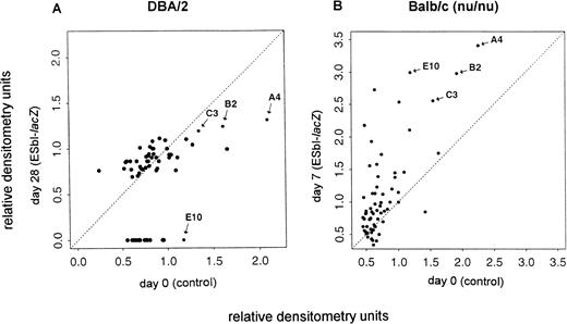 Fig. 1. Analysis of the effect of tumor growth on the expression of multiple genes in liver sinusoidal endothelial cells in vivo. Gene expression was analyzed by dot-blot mRNA analysis in cells from tumor-bearing immuno-competent DBA/2 (A) and from immuno-incompetent Balb/c (nu/nu) (B) mice. The relative densitometry units were calculated from the autoradiograms such as shown in Figs 3 and 4. They represent the ratio between the density of the specific mRNA transcript to the GAPDH transcript as described in Materials and Methods. The expression levels at day 0 (control, x-axis) were plotted versus those obtained at the indicated days after tumor inoculation (ESbl-lacZ, y-axis). Dots around the diagonal represent genes without expression changes, whereas dots below (suppression) or above (induction) the diagonal represent genes with altered expression within the experiments. Representative data from two in vivo experiments for immuno-competent DBA/2 and immuno-incompetent Balb/c (nu/nu) mice are shown. For further analysis selected genes are labeled (A4, B2, C3, and E10).
