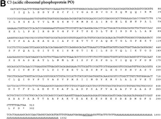 Fig. 7. DNA and protein sequence of the cDNAs B2, C3, and E10. The clones B2, C3, and E10 were commercially sequenced and compared to published sequences using the application BLASTN of the HUSAR program package (Version 4.0). The bovine cDNAs represent partial sequences of the elongation factor 1 (B2, A), the acidic ribosomal phosphoprotein PO (C3, B) and the ribosomal protein S2 (E10, C). Within the sequence of the ribosomal protein S2 the sequence of LLRep3 is included. The start codon (ATG) and the first Methionin (M) of the LLRep3 sequence are underlined and enlarged. The cDNA sequences were submitted to GenBank and the accession numbers are AF013213 (B2), AF013214 (C3),AF013215 (E10). The open reading frames of the cDNA sequences were translated into the deduced amino acid sequences and placed under the corresponding DNA sequence. The numbering starts with the first nucleotide or amino acid. The potential polyadenylation signal sequences are underlined.