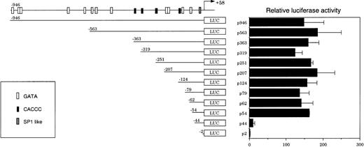 Fig. 3. Transient mouse CPO gene promoter activity in NIH3T3 cells. A series of 5′-deletion mutants of the mouse CPO gene promoter were assayed for luciferase activity. The results are expressed as ratios to that obtained with a pGL3-Basic plasmid. Data are mean values from three separate experiments.