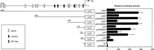 Fig. 5. Transient mouse CPO gene promoter activity in MEL cells in the presence or absence of DMSO. MEL cells were transfected with the series of 5′-deletion mutants shown in Fig 3 and incubated in the presence or absence of 2% DMSO for 20 hours. The results are expressed as ratios to the luciferase activity of pGL3-Basic plasmid in the cells without DMSO treatment. Data are means of three separate experiments.