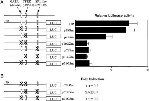 Fig. 6. Effect of disruption of individual or paired cis-elements on luciferase activities. (A) MEL cells were transfected with various constructs with the indicated mutations and incubated for 20 hours in the absence of DMSO. Results are the means of three separate experiments. (B) MEL cells were transfected with various mutation constructs and incubated for 20 hours in the presence of DMSO. Fold induction is expressed as the ratio of luciferase activities of cells transfected with indicated constructs in the figure to that obtained with PGL3-Basic. Results are expressed as the means of three separate experiments.