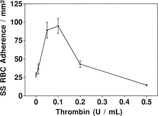 Fig. 1. Dose response curve for thrombin-induced adherence. Each point represents the mean number from four static assays of SS RBC adherent to 1 mm2 of HUVEC treated with thrombin concentrations ranging from 0 to 0.5 NIH U/mL.