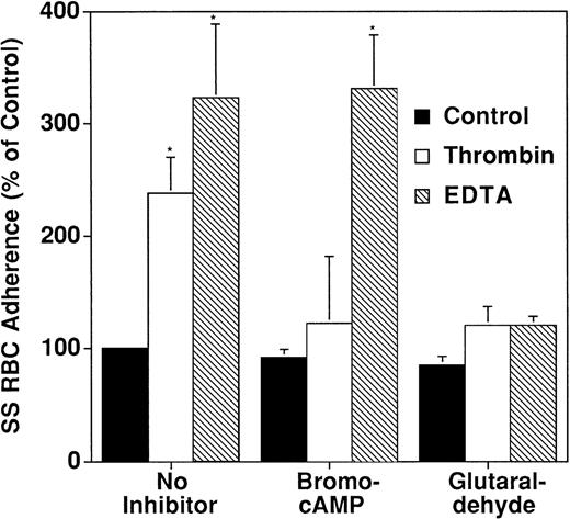 Fig. 6. Effect of inhibition of cell contraction by bromo-cAMP and glutaraldehyde on SS RBC adherence. Treatment of EC with bromo-cAMP prevented thrombin- but not EDTA-induced adherence. Treatment of EC with glutaraldehyde blocked both thrombin- and EDTA-induced adherence. Results are presented as a percent of control adherence.
