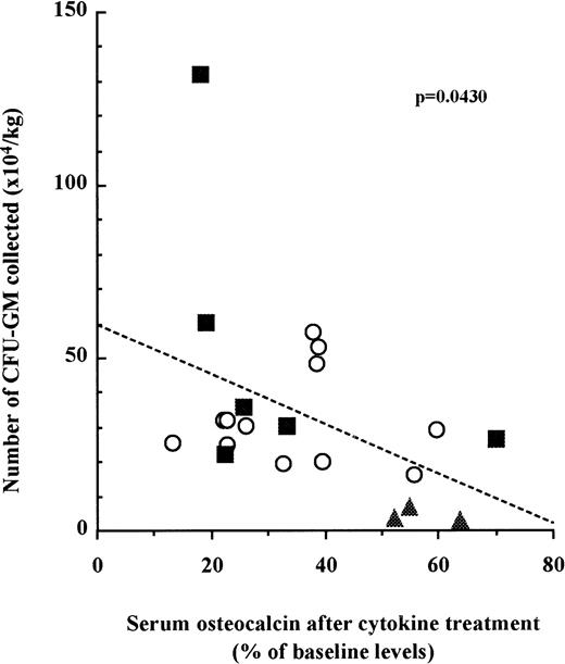 Fig. 3. The decrease of serum osteocalcin concentrations is correlated to the number of CFU-GM mobilized into peripheral blood. Serum osteocalcin concentrations were calculated for each individual patient or donor by dividing serum osteocalcin contrations measured at either day 6 of G-CSF (○), day 9 of SCF + G-CSF (▪), or day 10 of IL-3 + G-CSF (▴) administration by serum osteocalcin concentrations before mobilization. The number of CFU-GM was analyzed with peripheral blood mononuclear cells collected on either day 6 of G-CSF, day 9 of SCF + G-CSF, or day 10 of IL-3 + G-CSF. Slope and significance levels were calculated using the nonparametric Spearman correlation test.